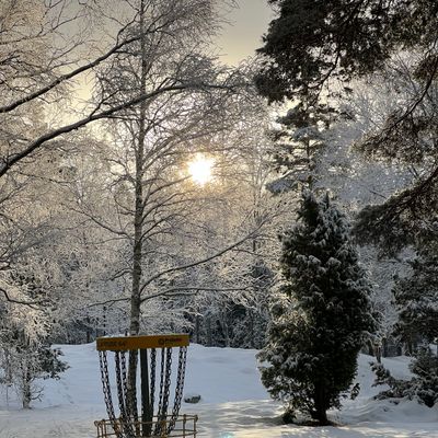 Great winter day for some disc golf!