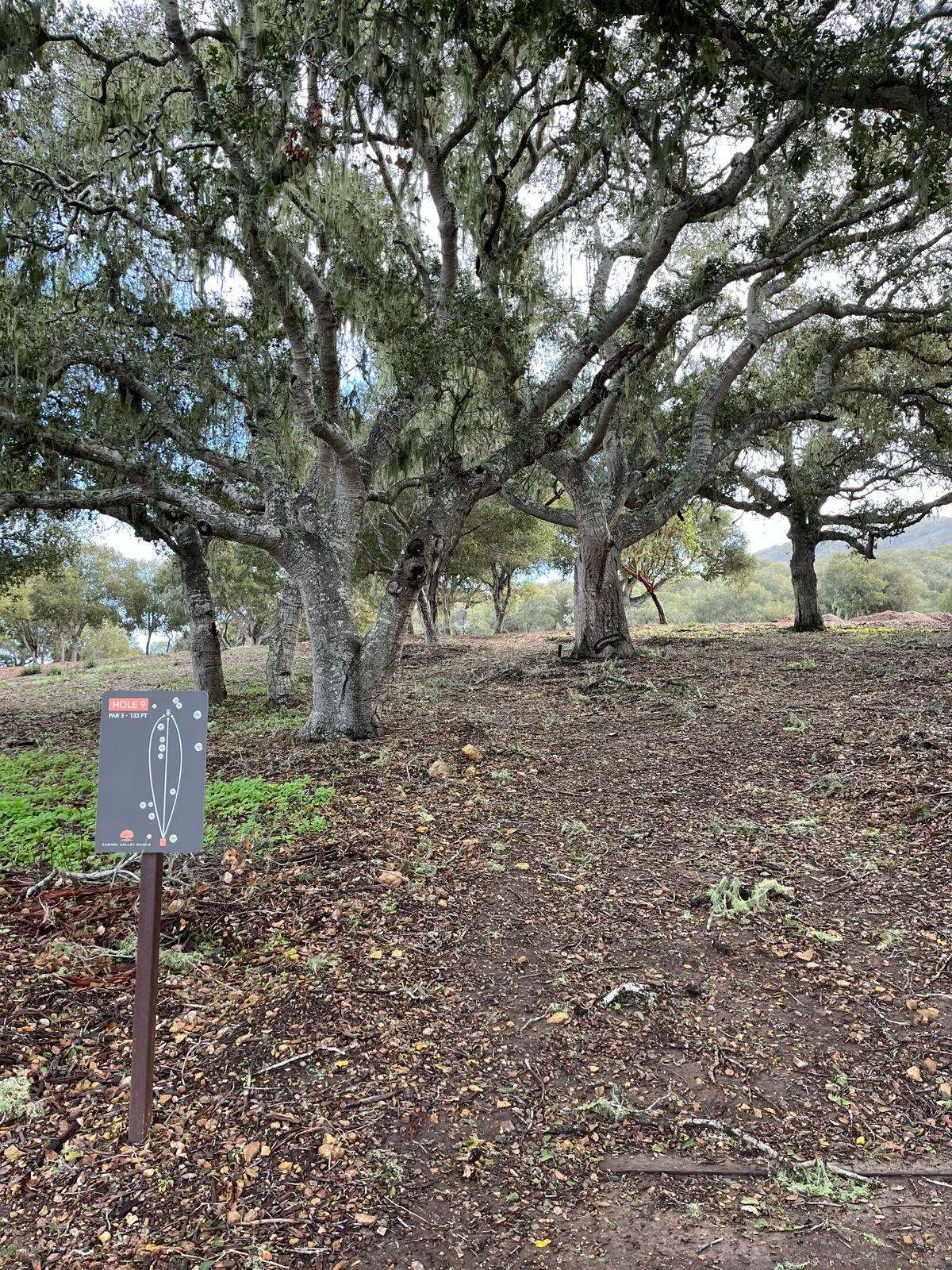 Hole 9 - par 3 133ft