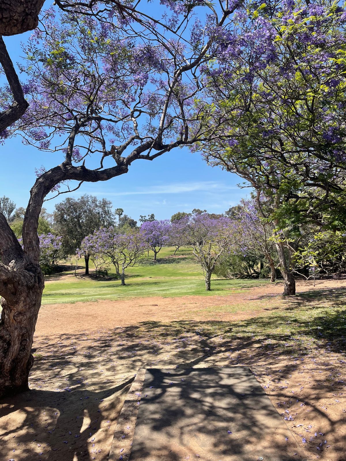 Hole 3 with left pin locations by creek