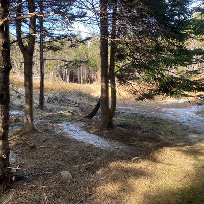 Hole 4 from Tee