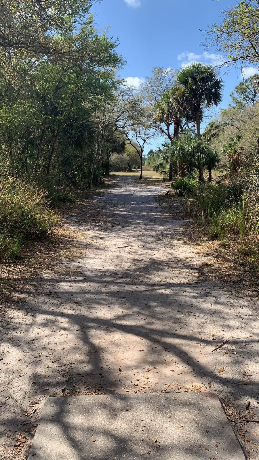 Hole #10