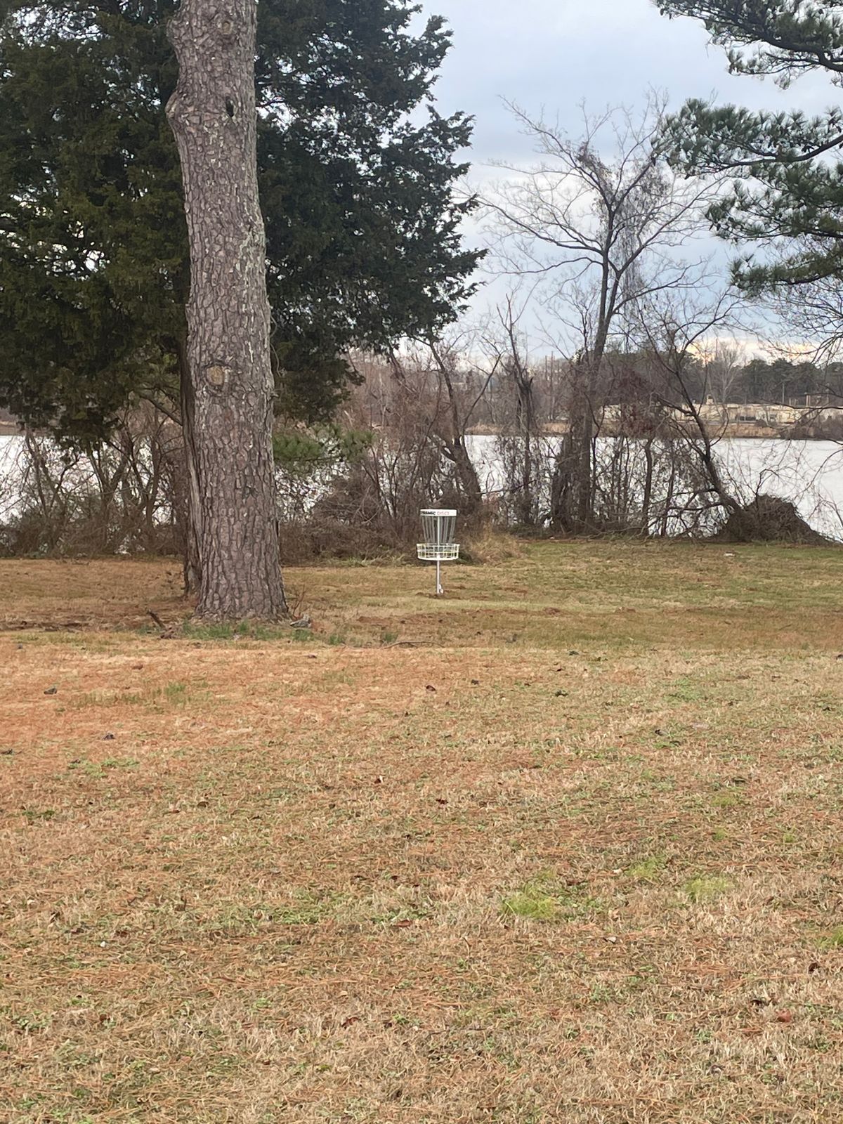Hole 8 basket