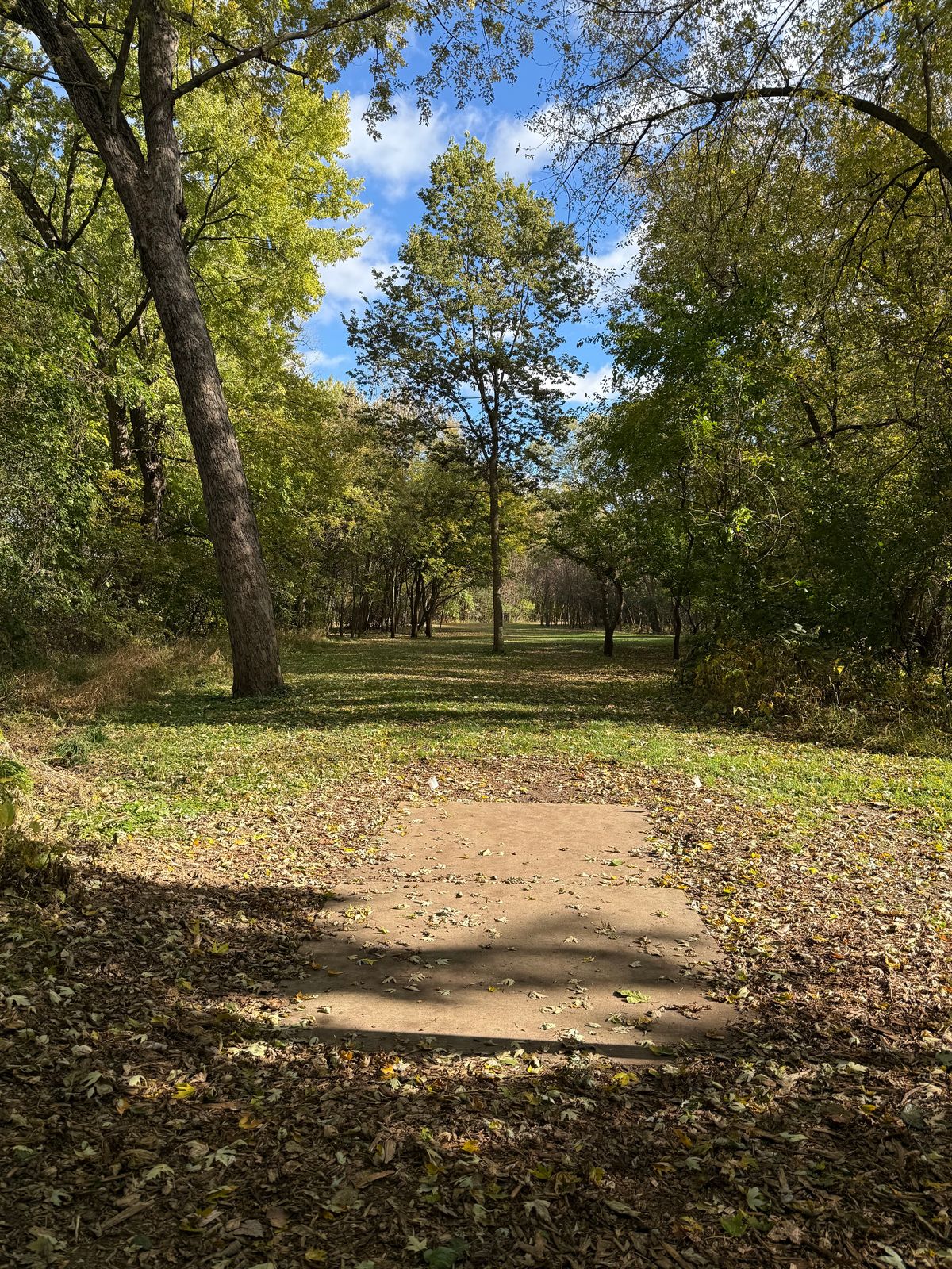 Hole 14 tee 10/23/25