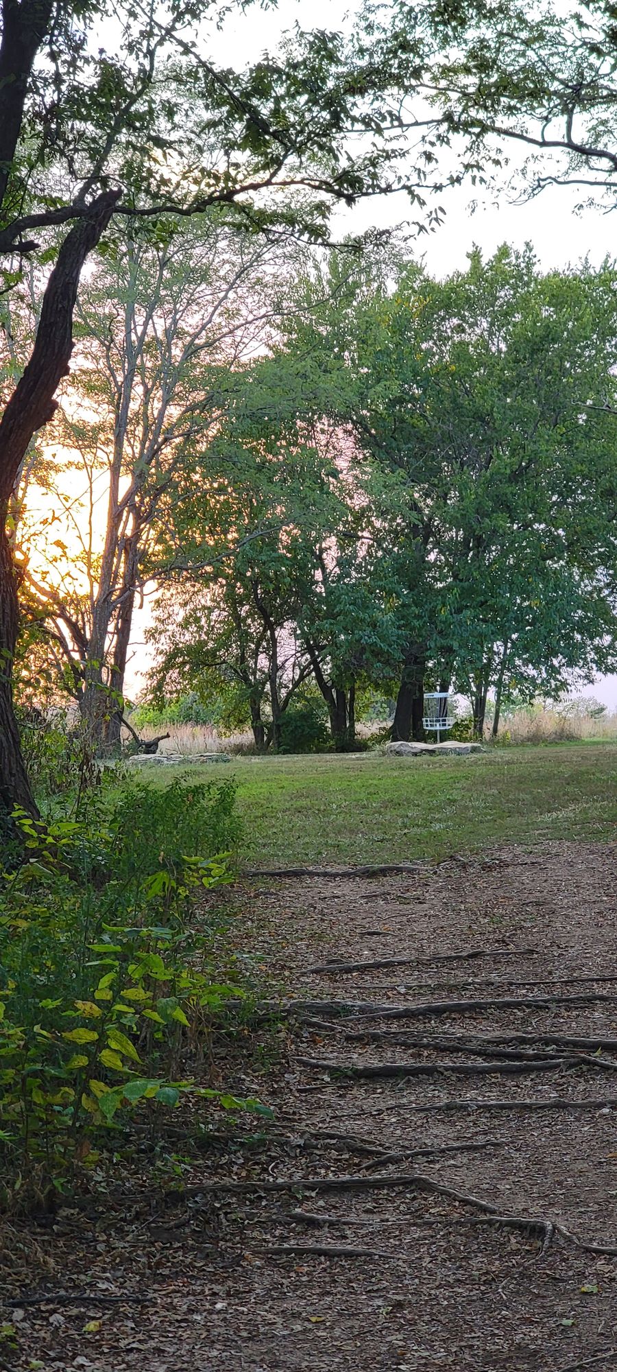 Hole 5 Sunset