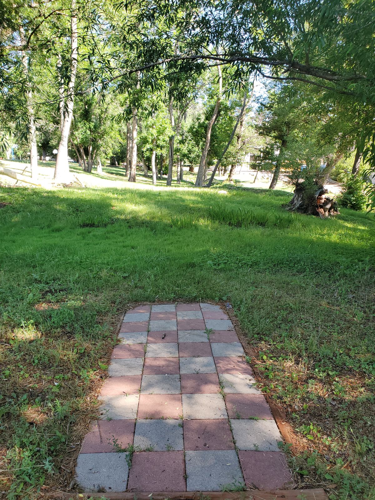 Hole 3 has several trees blocking the flight path.