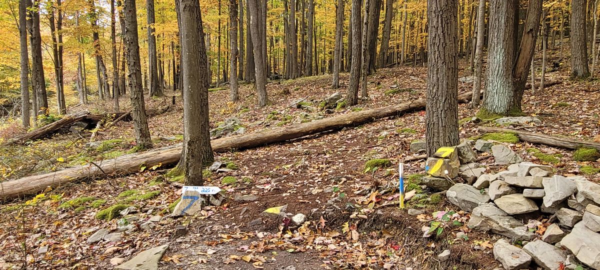 Hole 7 - October 2022