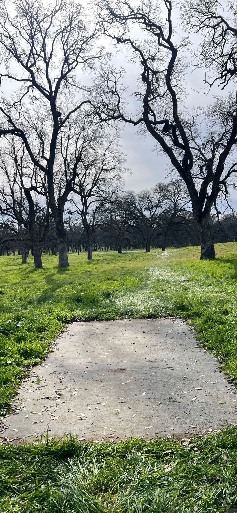Hole 7