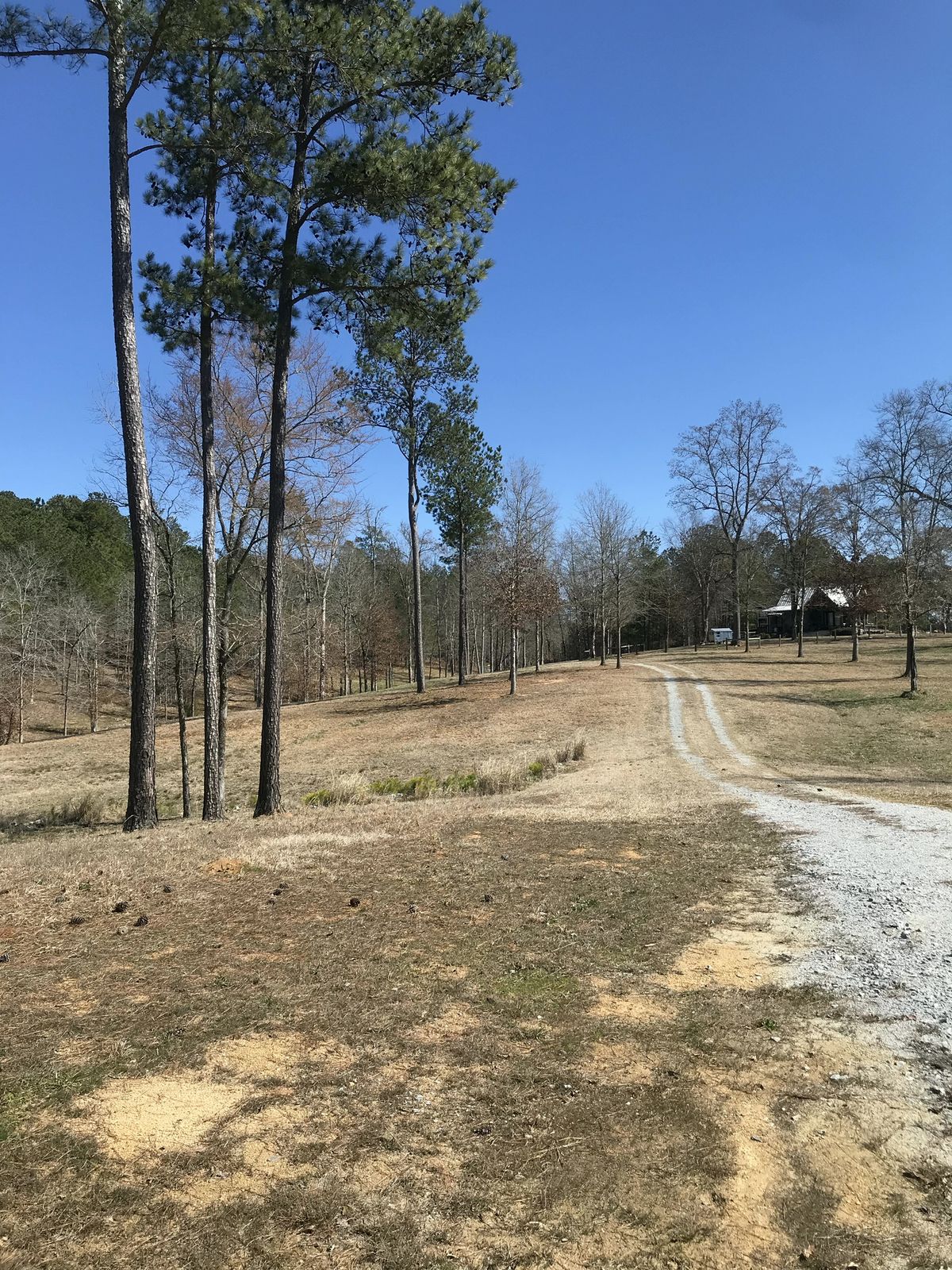 Hole 2 - tee to basket