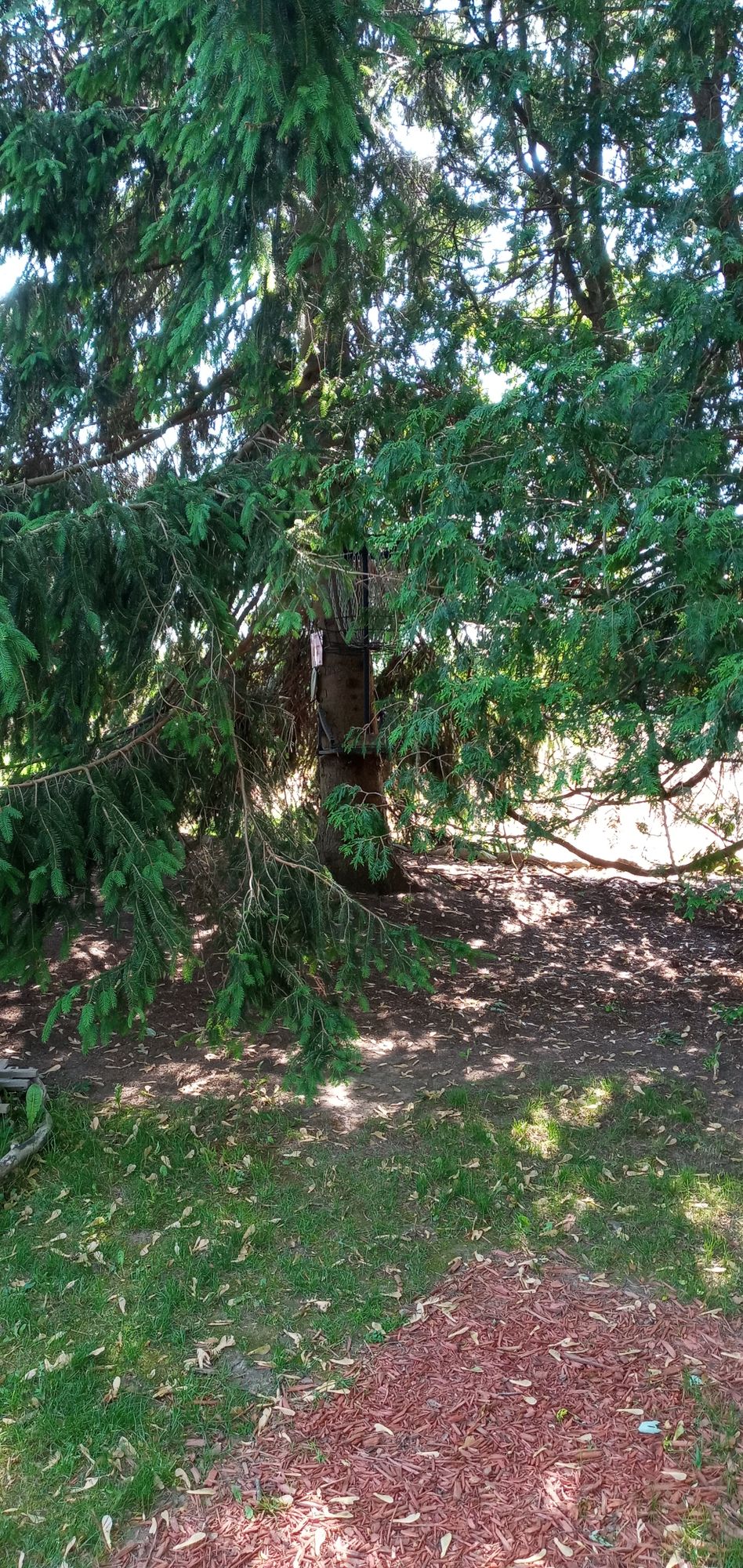 Hole 16
