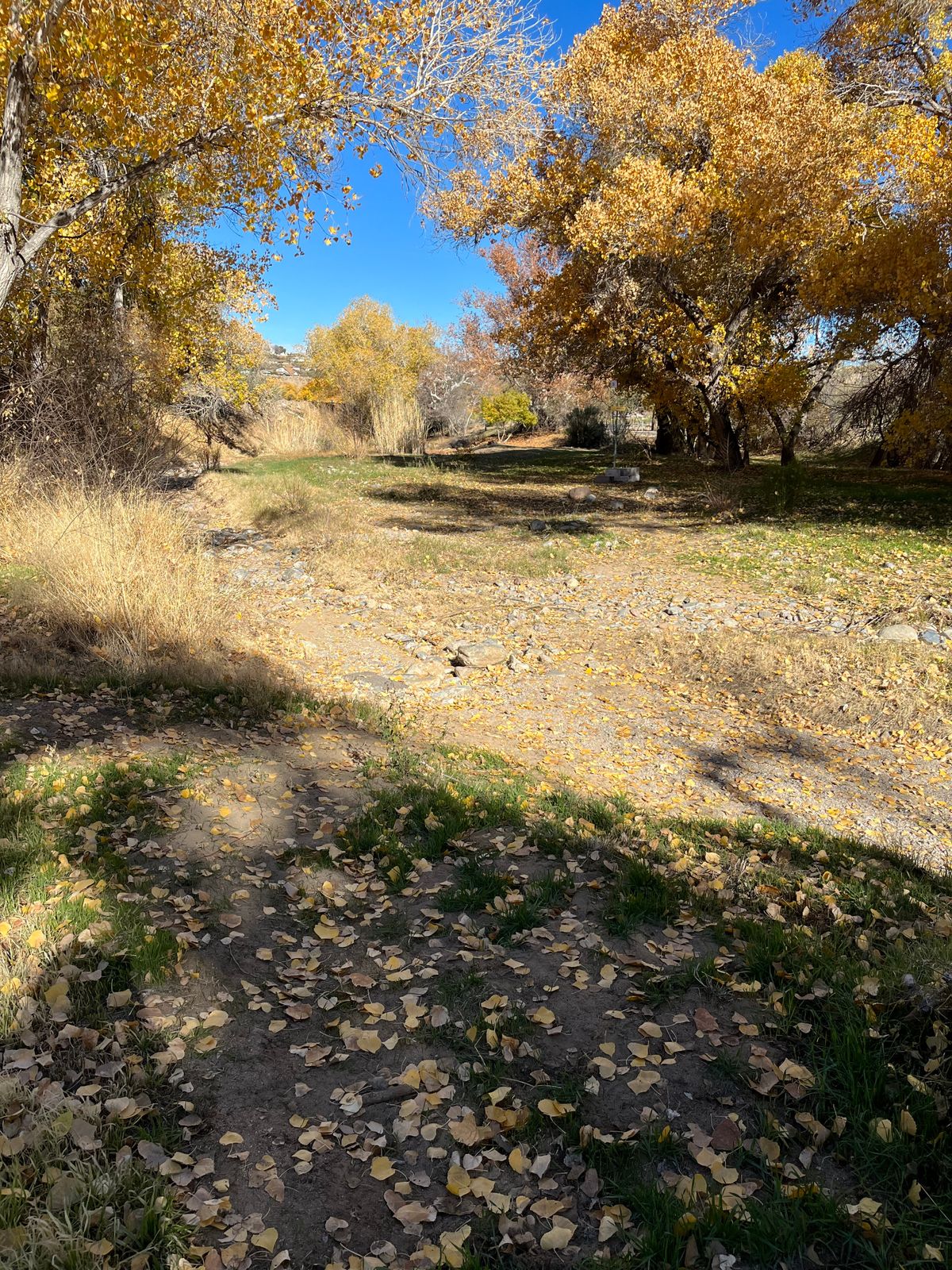 Looking into the meadow, down the wrong direction, for hole 3
