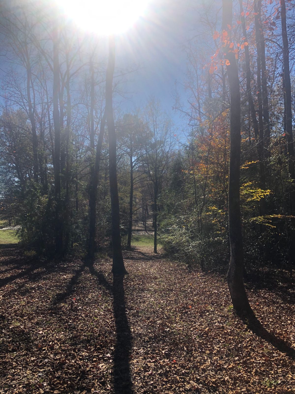 Hole 13