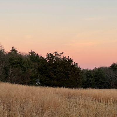 Stop and snap some Sunsets