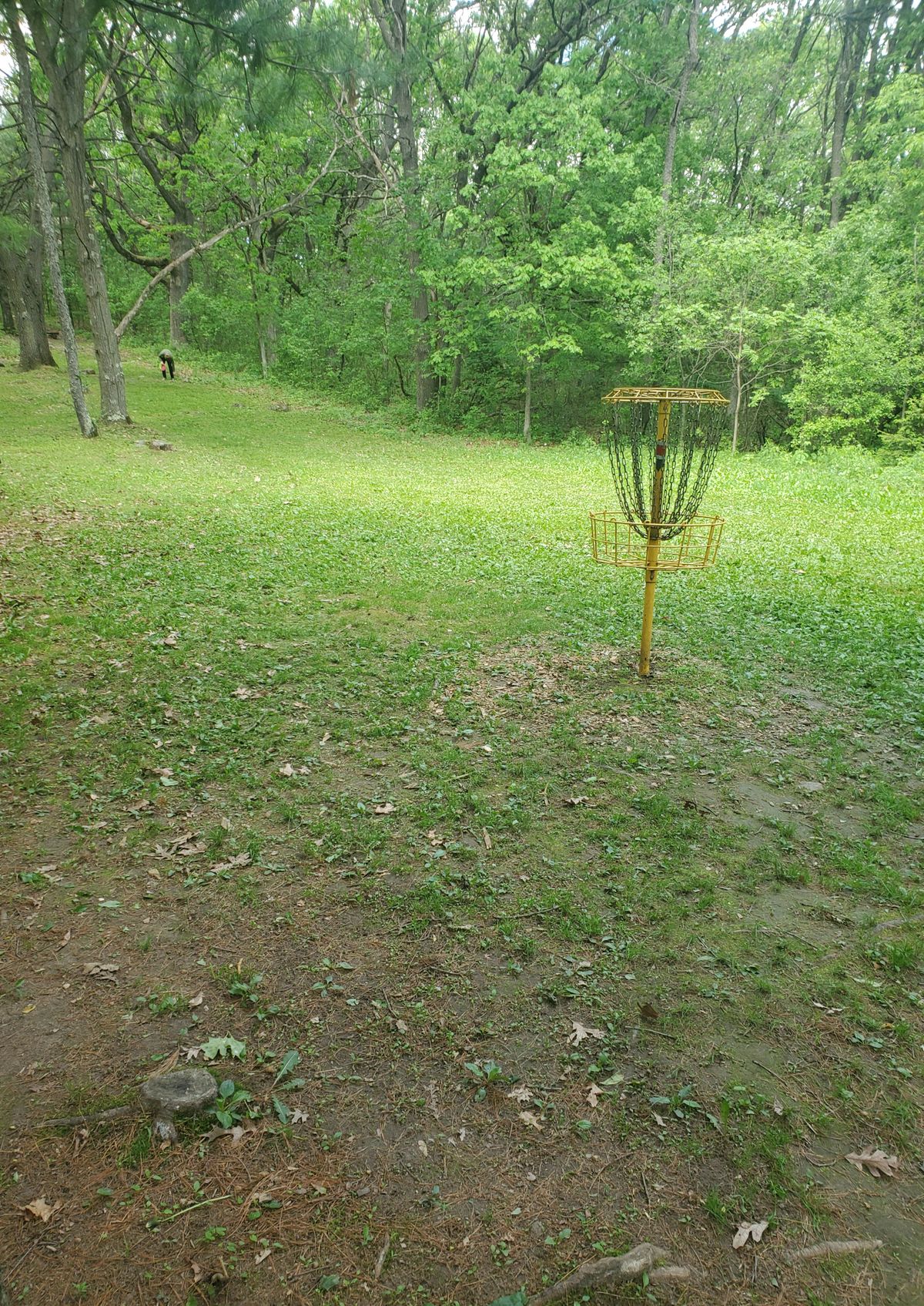 Hole #3 short basket.