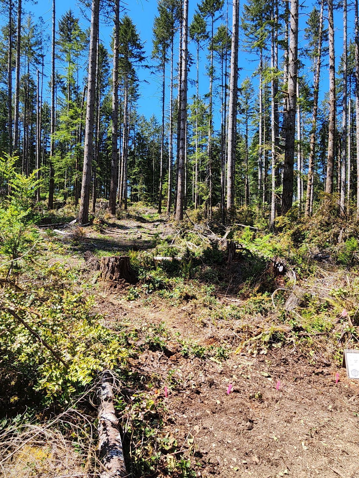 Hole 8