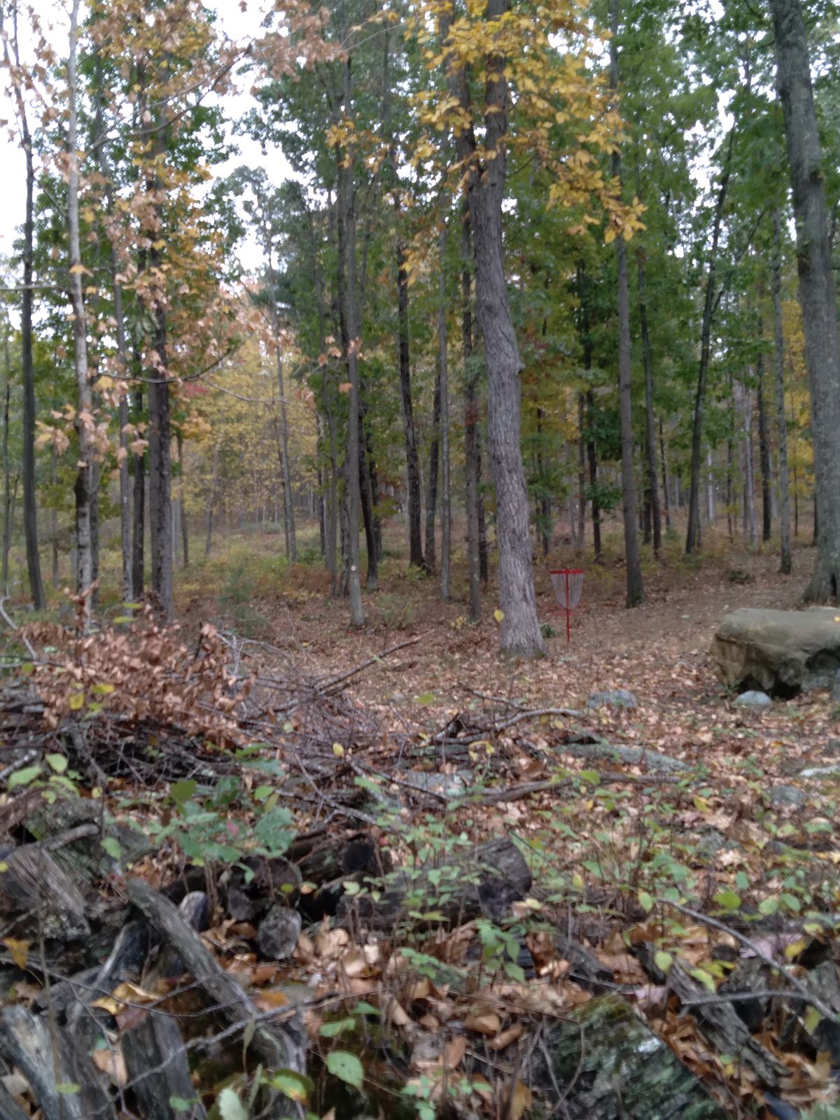 Hole 14
