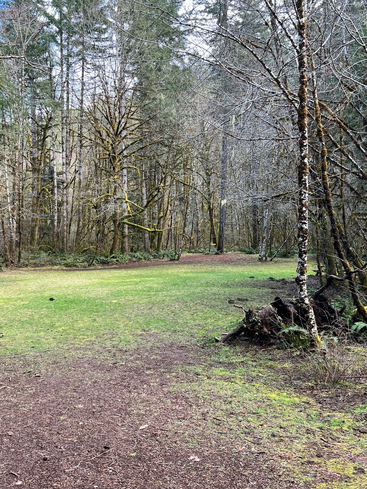 Hole 4 fairway