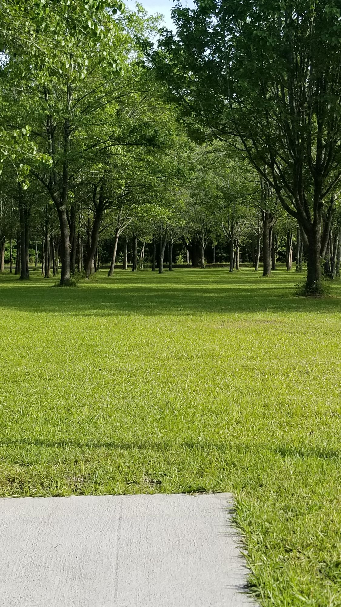 Hole 2