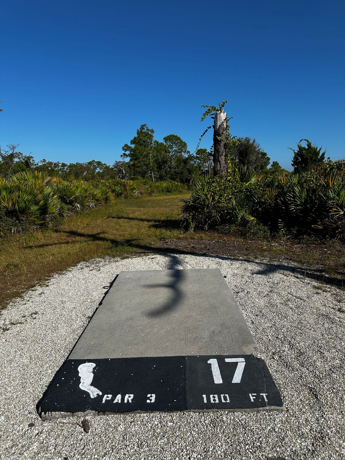 Current tee location 10/2025. 180 ft to basket from front of tee