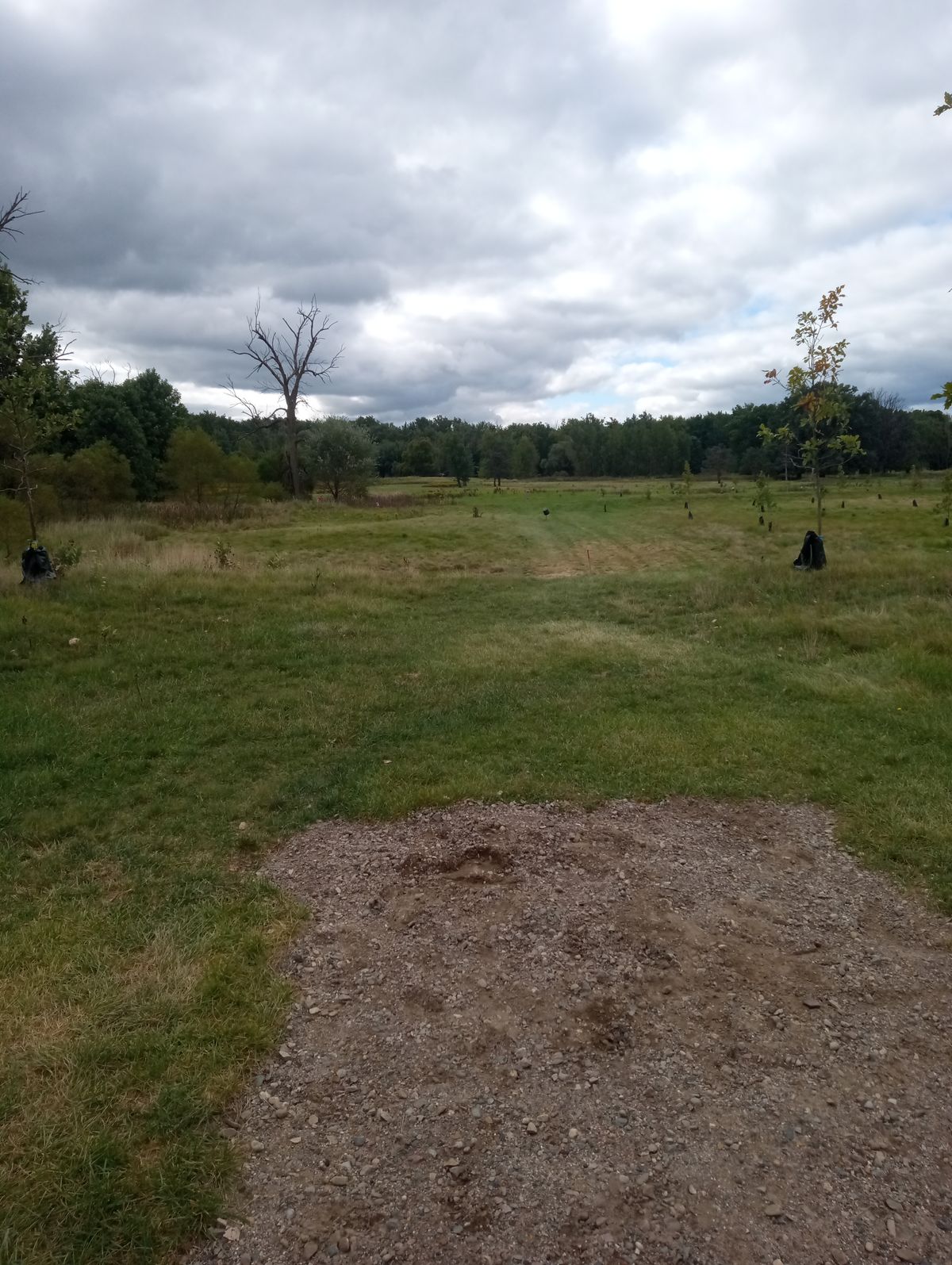 Hole 2