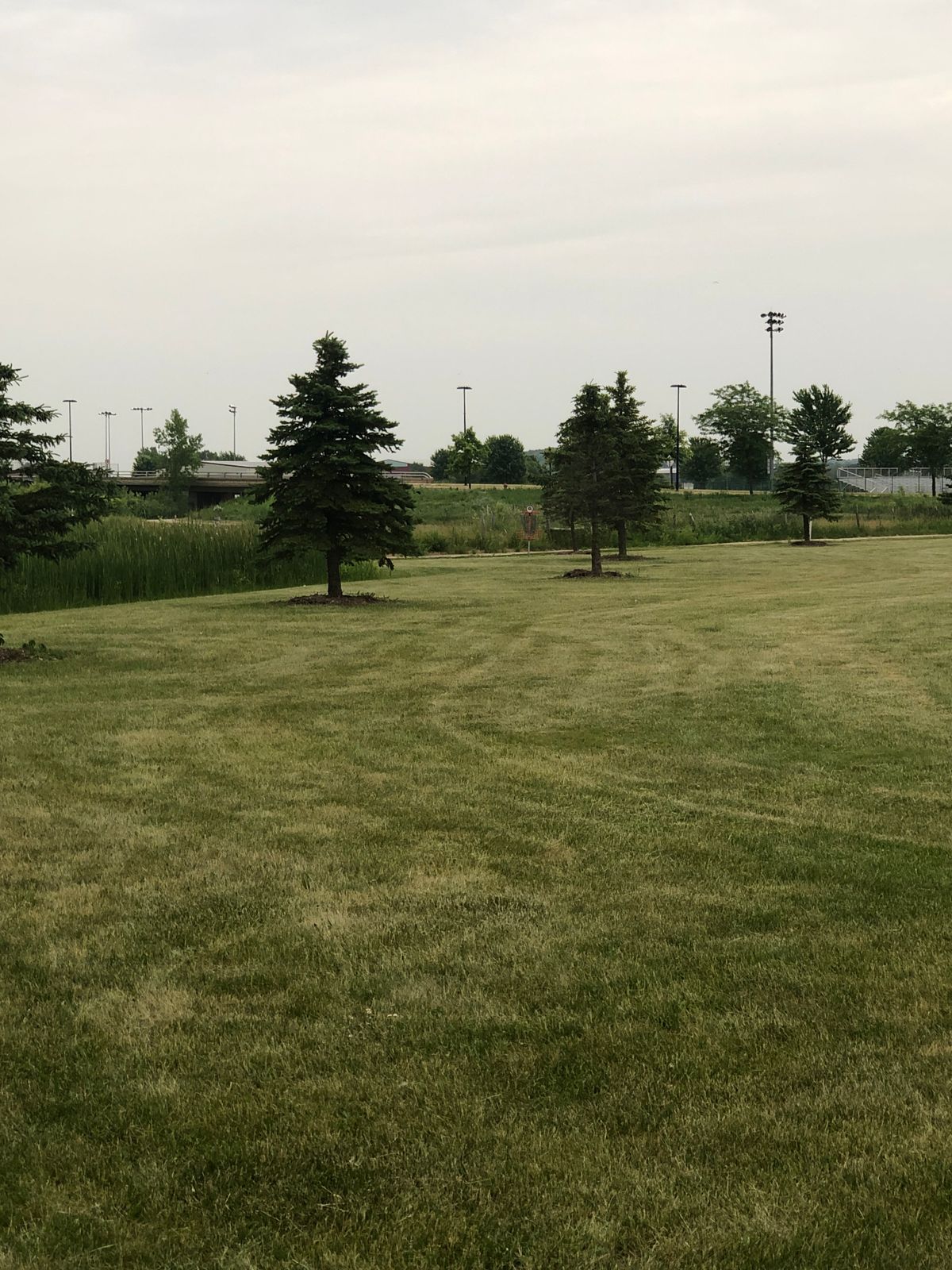 Tee Box for hole 2