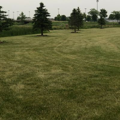 Tee Box for hole 2