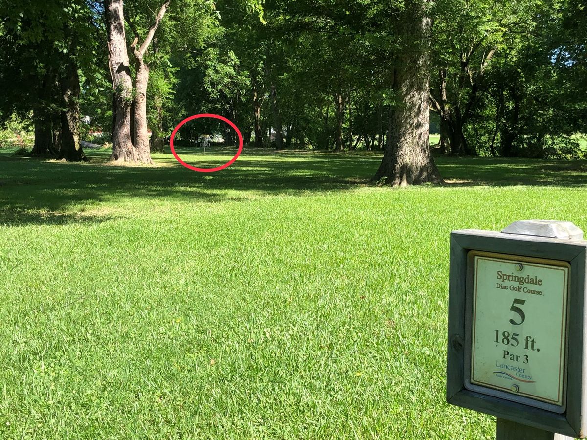 Hole #5 tee