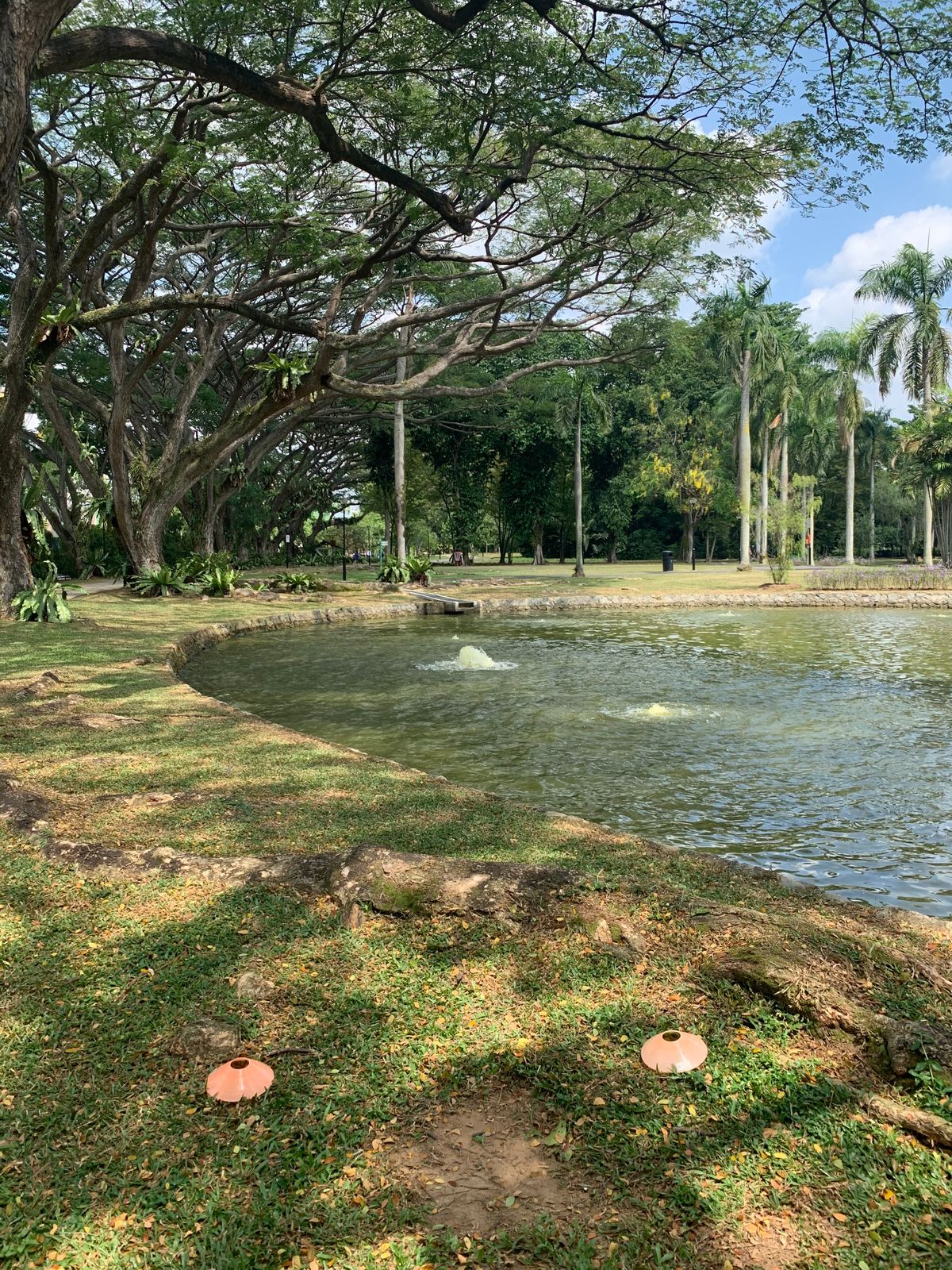 Hole 2 Tee