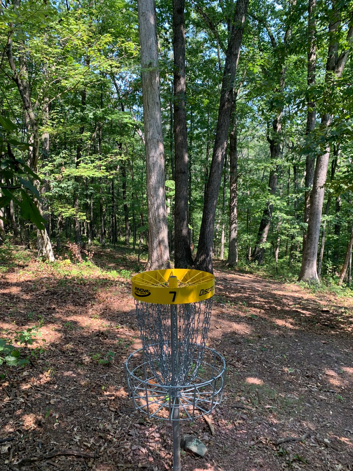 Basket #7 looking back towards the tee pads.