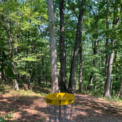 Basket #7 looking back towards the tee pads.