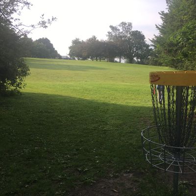 Reverse back up fairway on hole 1 🇨🇦🌲🇨🇦🌲