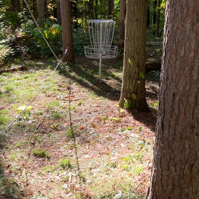 Hole 6 basket