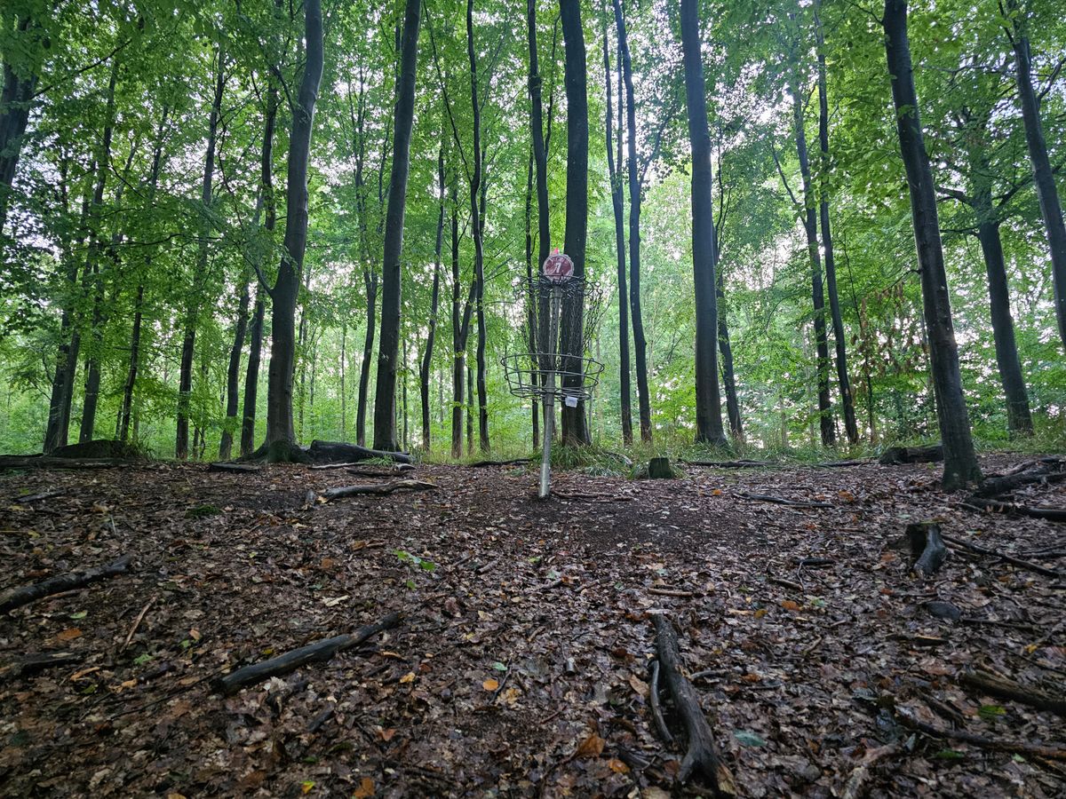 Hole 7