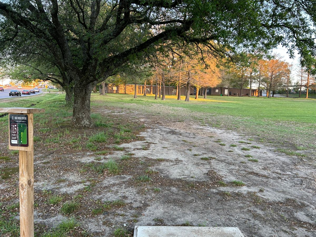 Hole 15. Low forehand or sweeping hyzer backhand