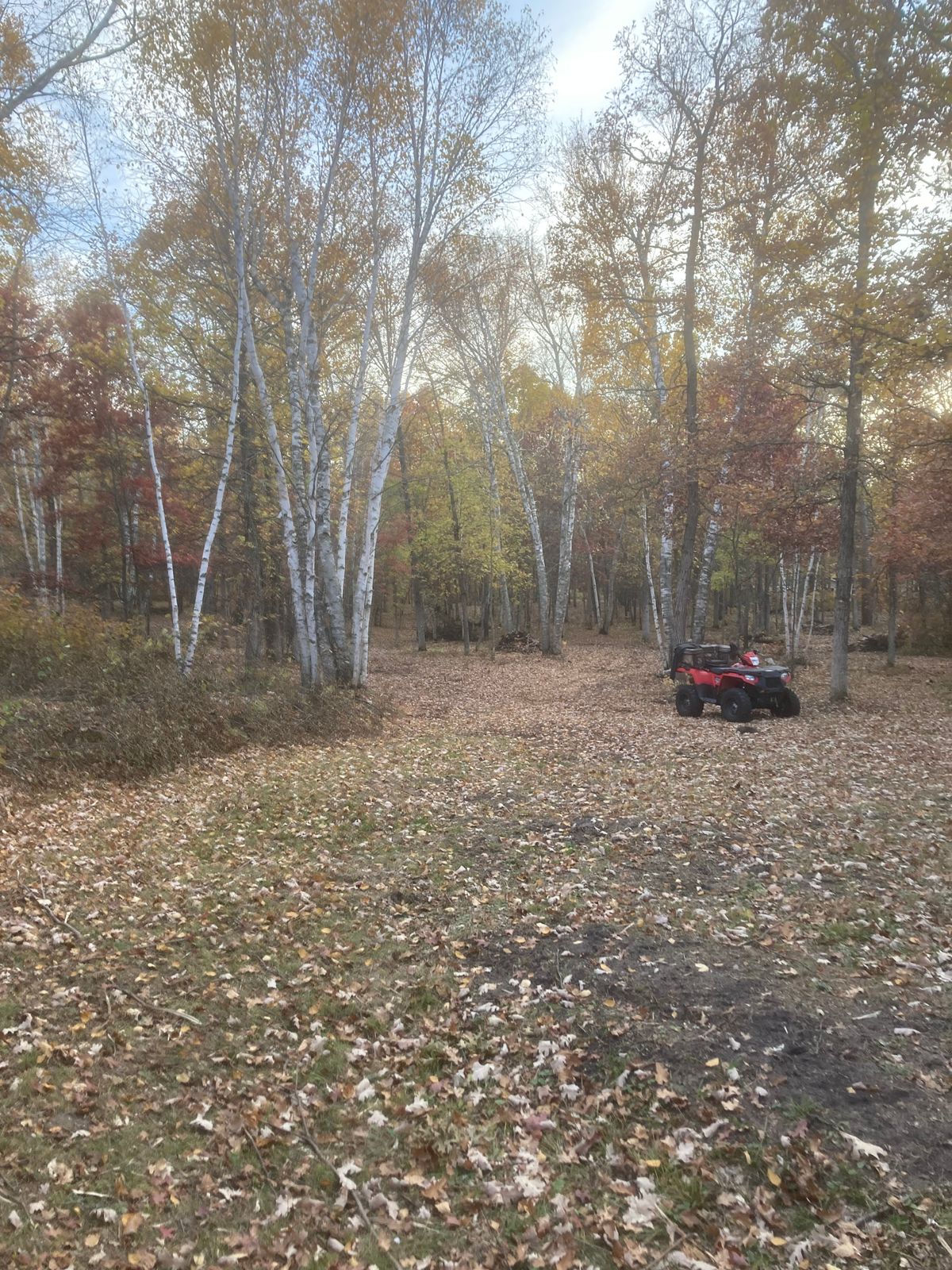 Hole 3 Tee and fairway