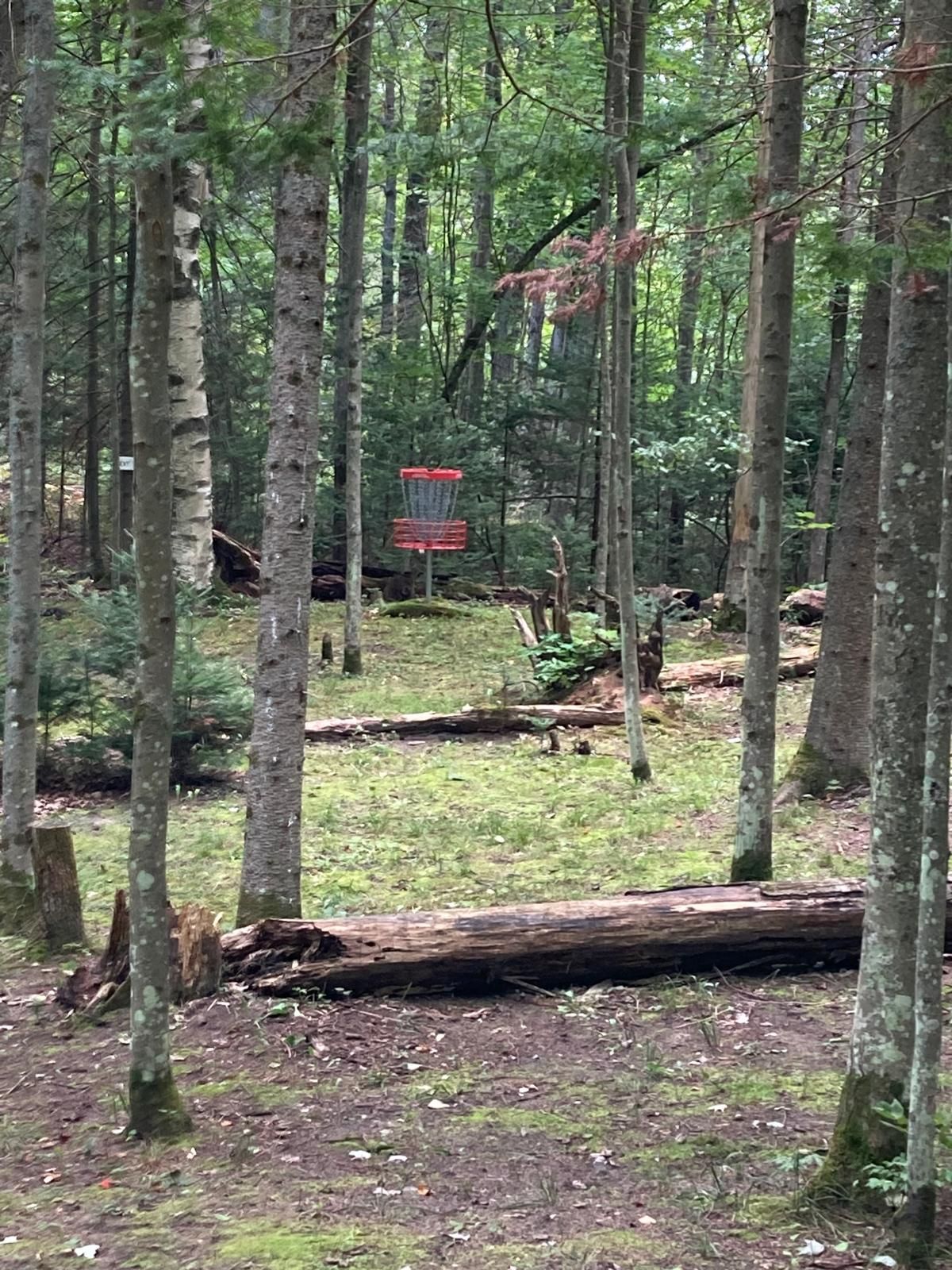 Basket Hole #4