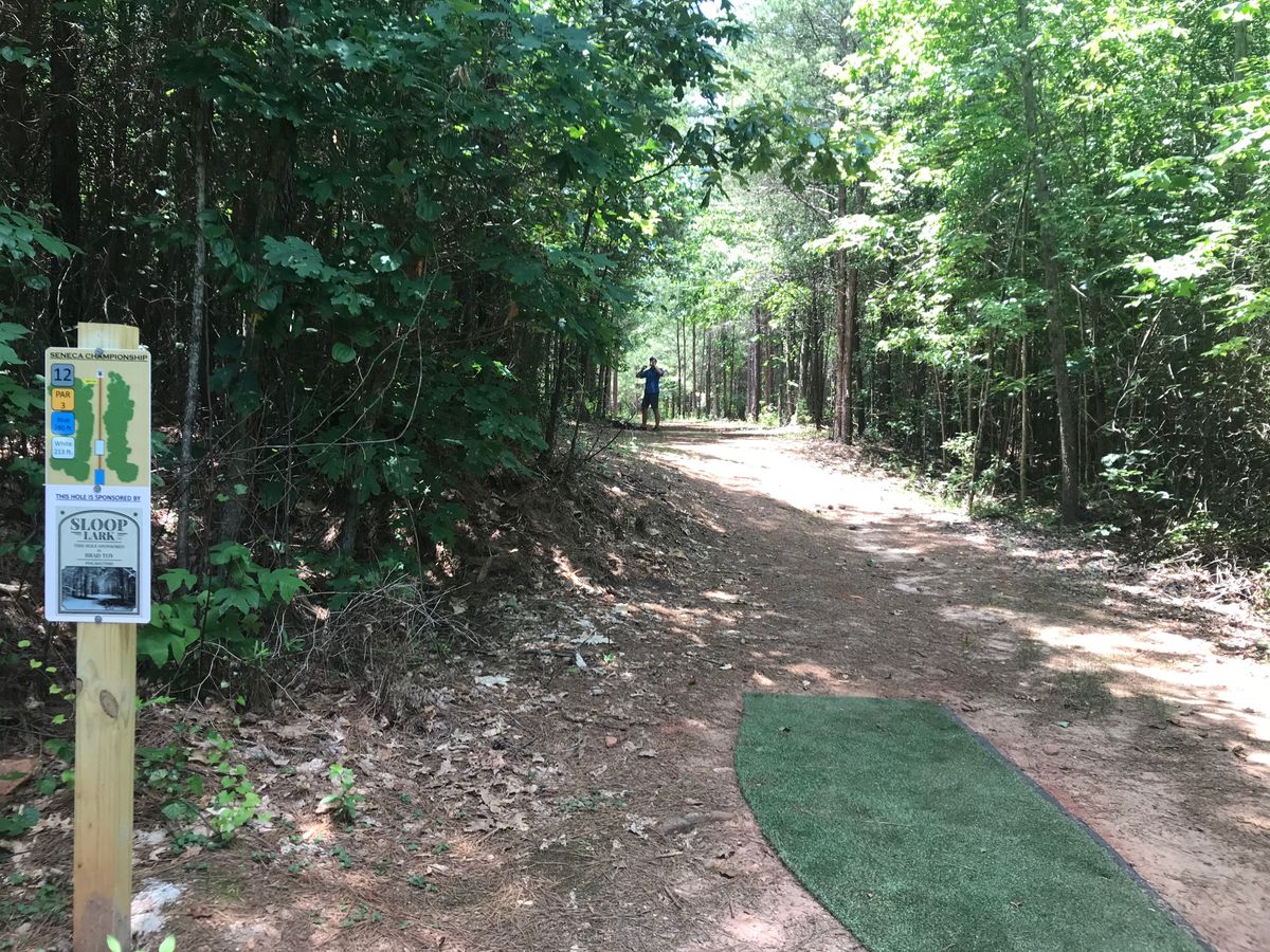 View from Blue Tees on Hole 12. Course is well manicured