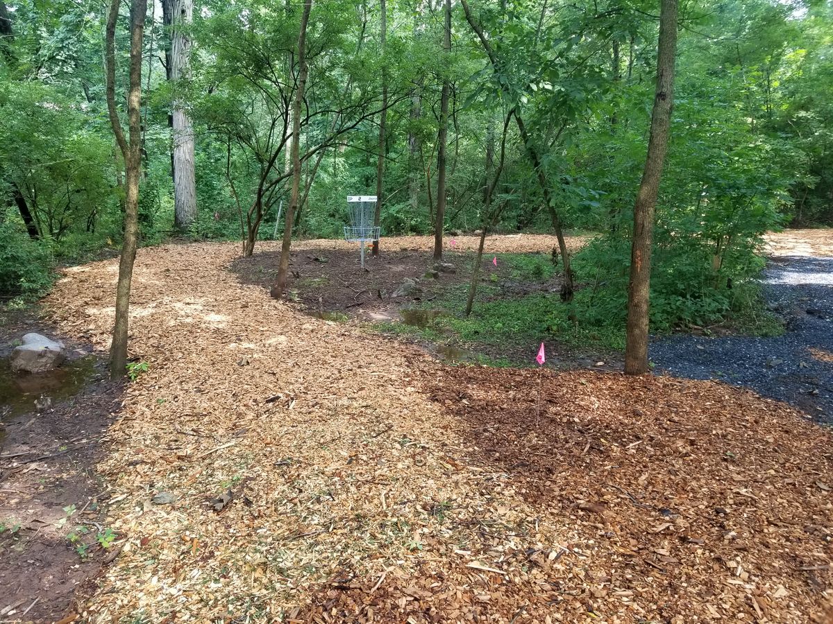 Half of the course is found in the coverage of natural trees, and layed out beautifully with a wood chipped trail.