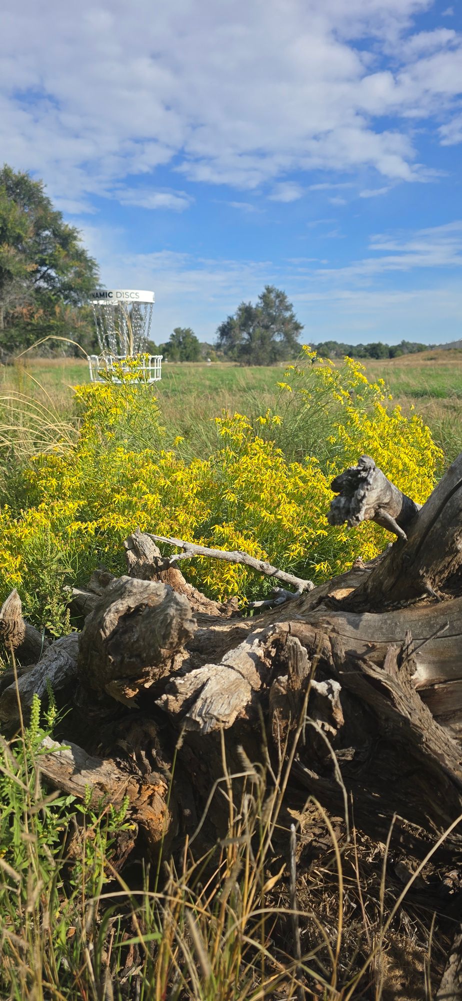 Hole 12