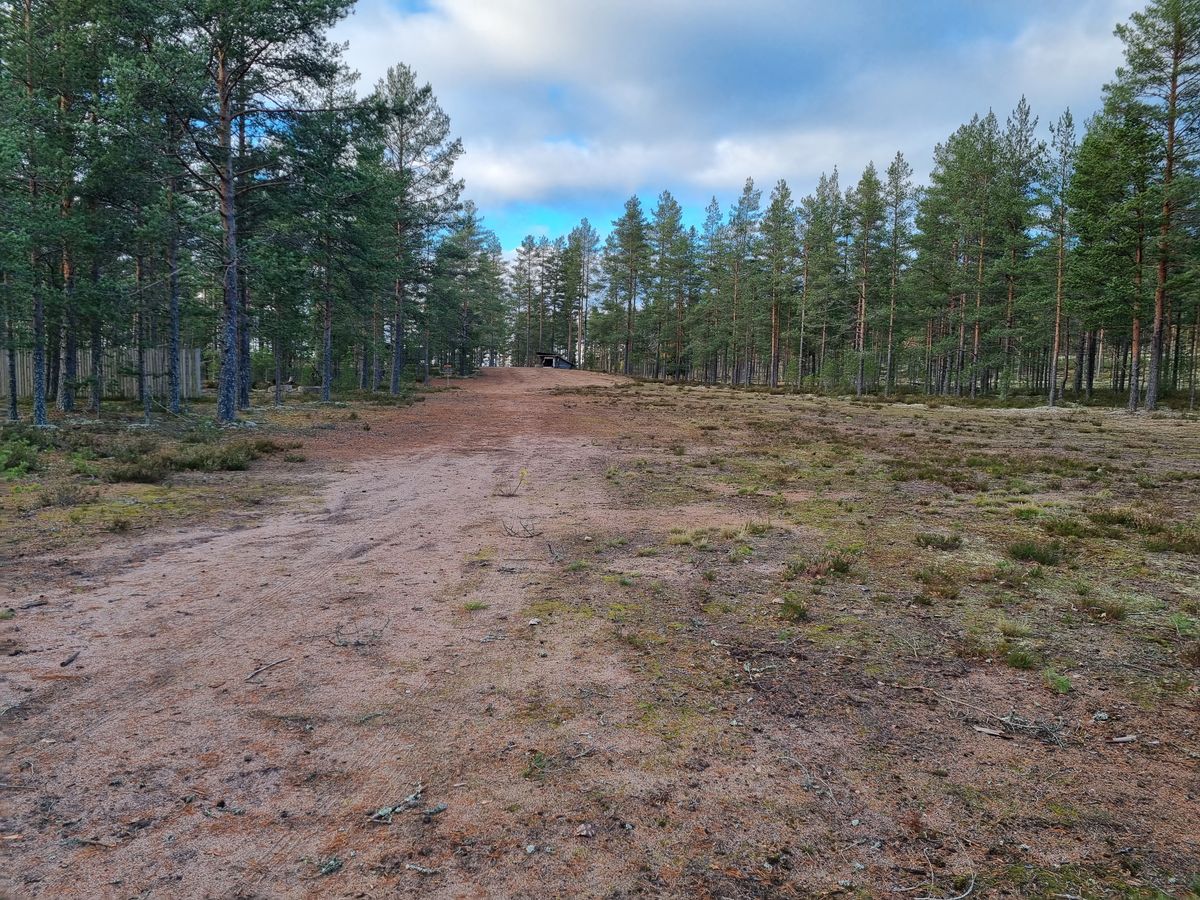 Väylä 16, kori vasemmalla metsän laidassa