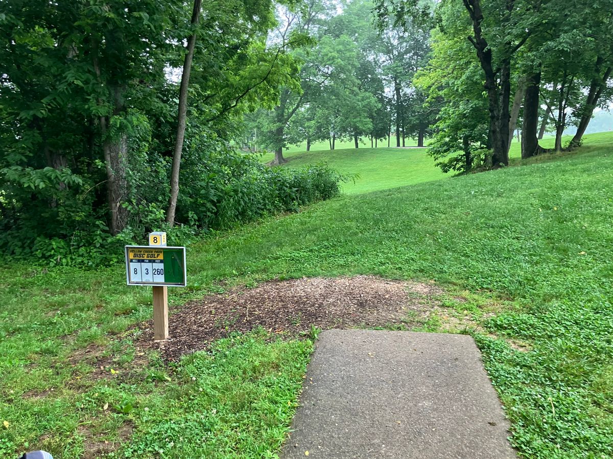 Hole 8 Tee box. 250’ Through the gap and to the left parked on a hill.