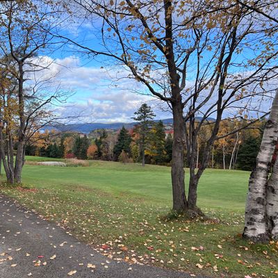 Hole 10 from White Tee
