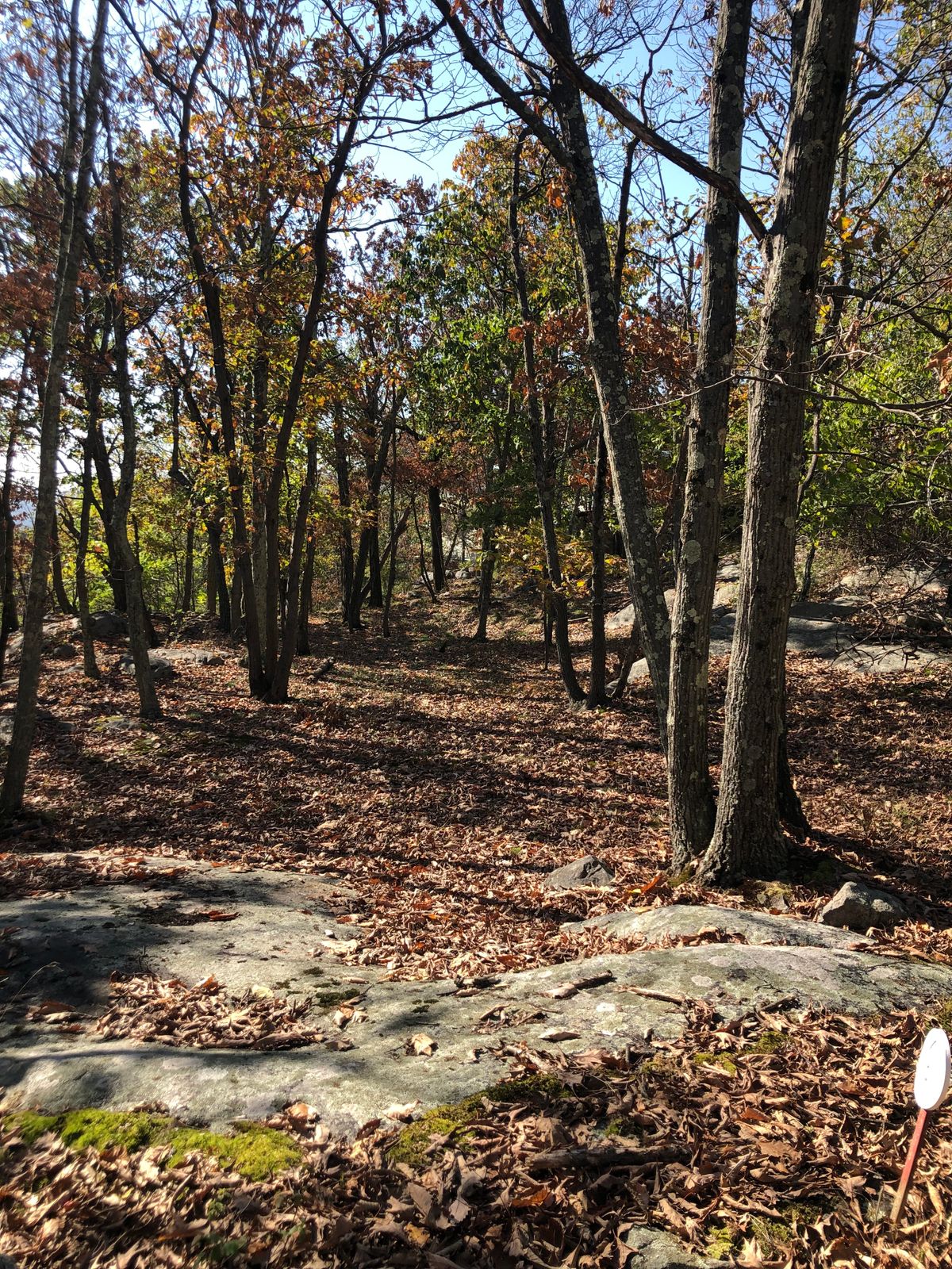 Hole #6 (132’)