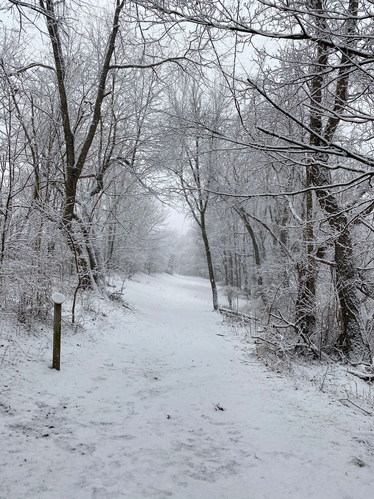 Old Monroeville Hole 3