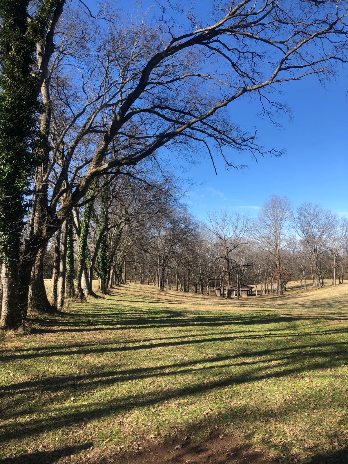 Hole 14