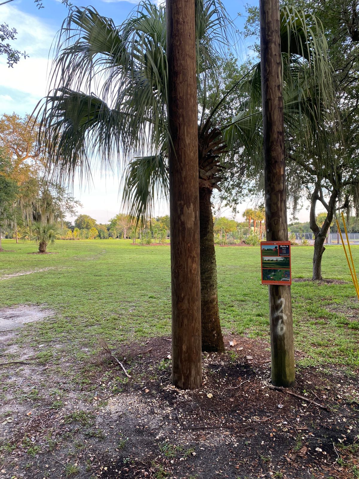 Hole 6 tee pad area. Basket on other side of bushes along fence in between palm trees