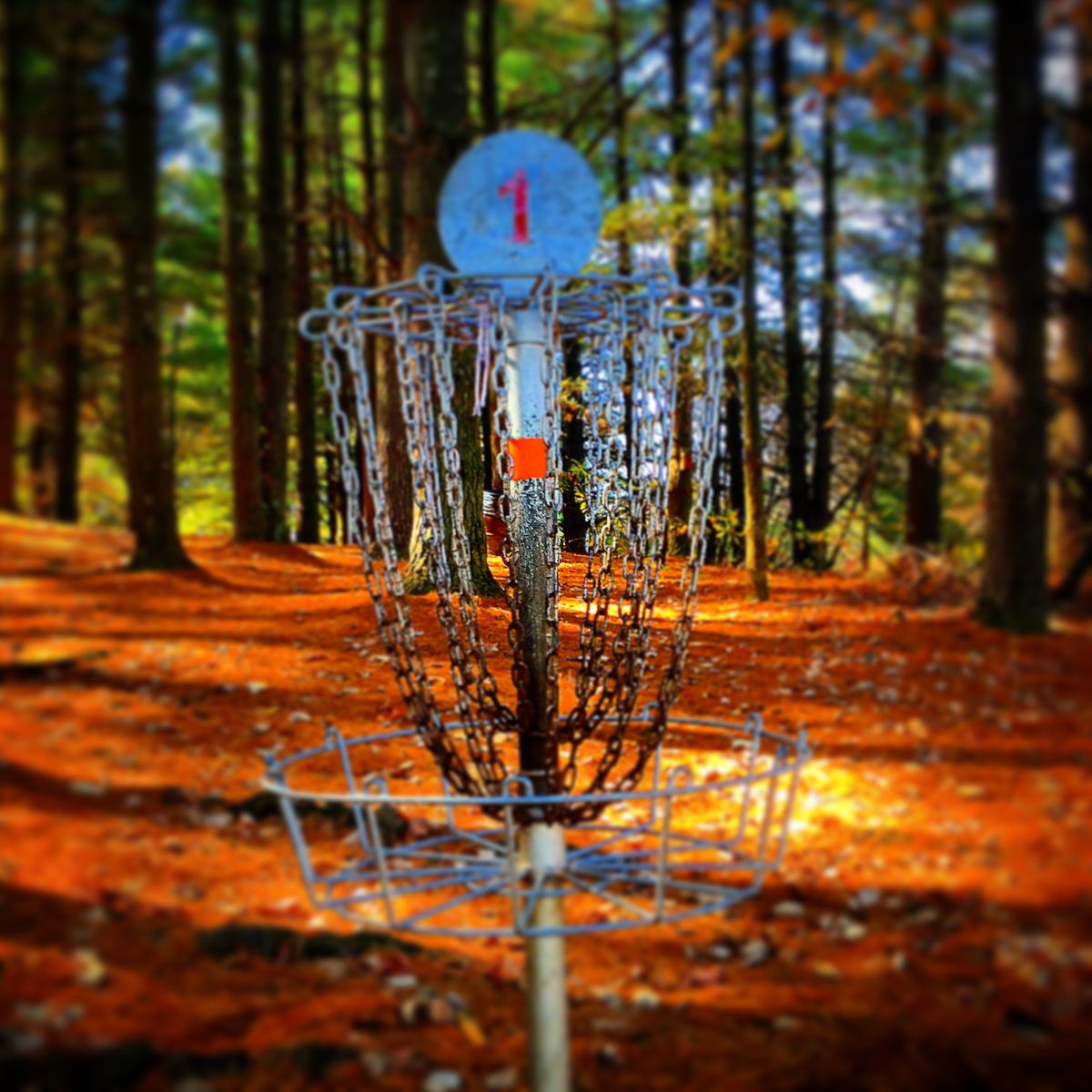 Otter Creek Park DGC