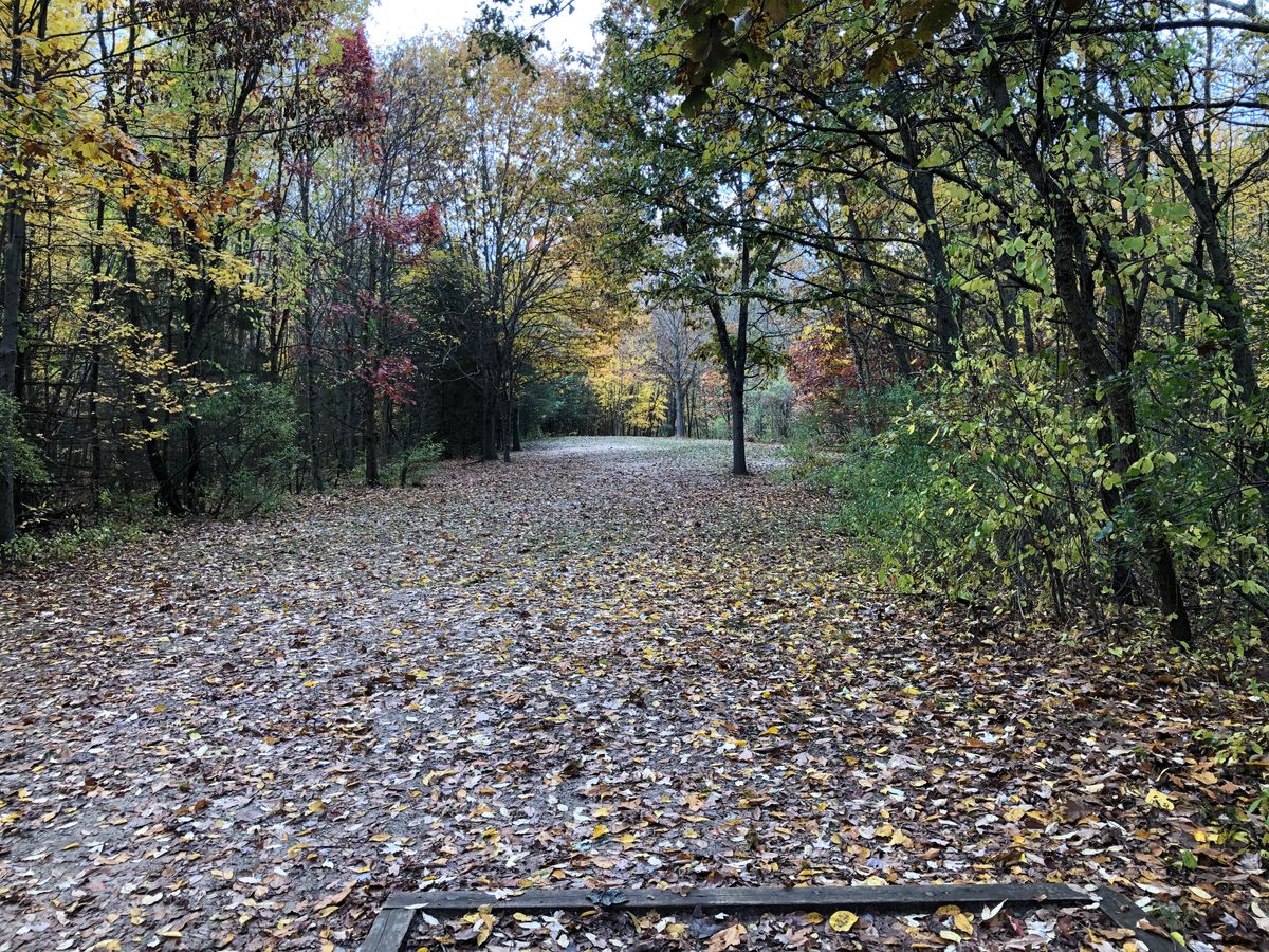 Hole 11 short teepad