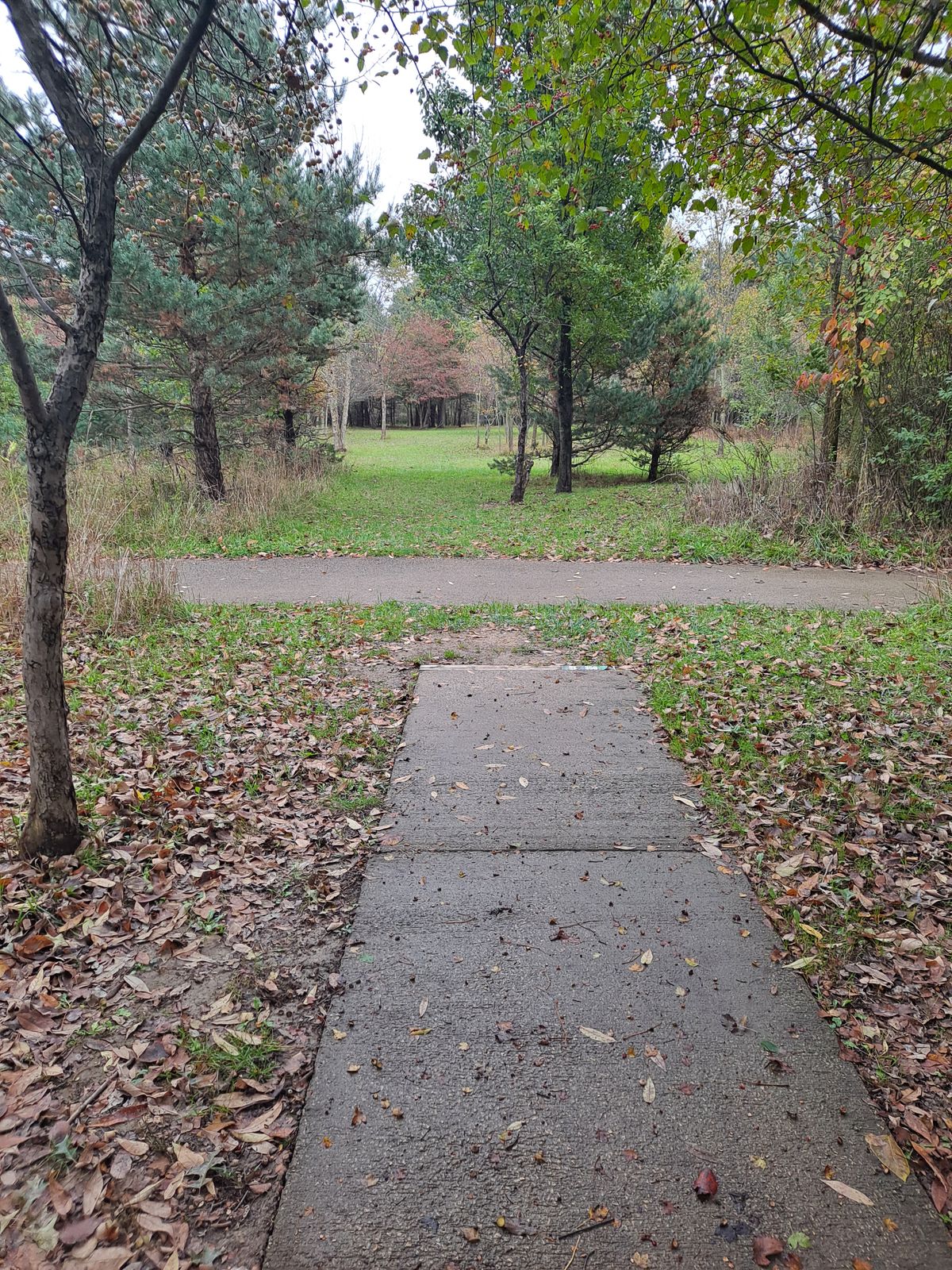 Hole 5