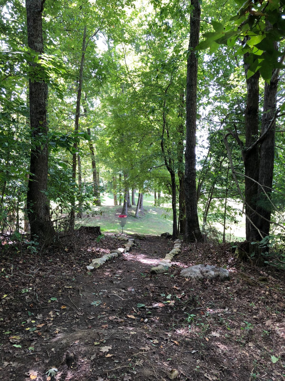 Looking back towards 8 basket.