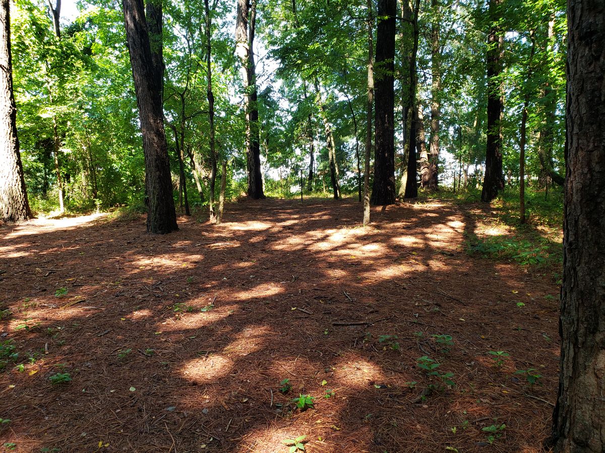 Hole 11 Basket